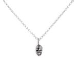 Collar con dije de calavera en plata ley 950 vista frontal detallada